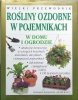 Stephanie Donaldson, Peter McHoy Rośliny ozdobne w pojemnikach w domu i ogrodzie